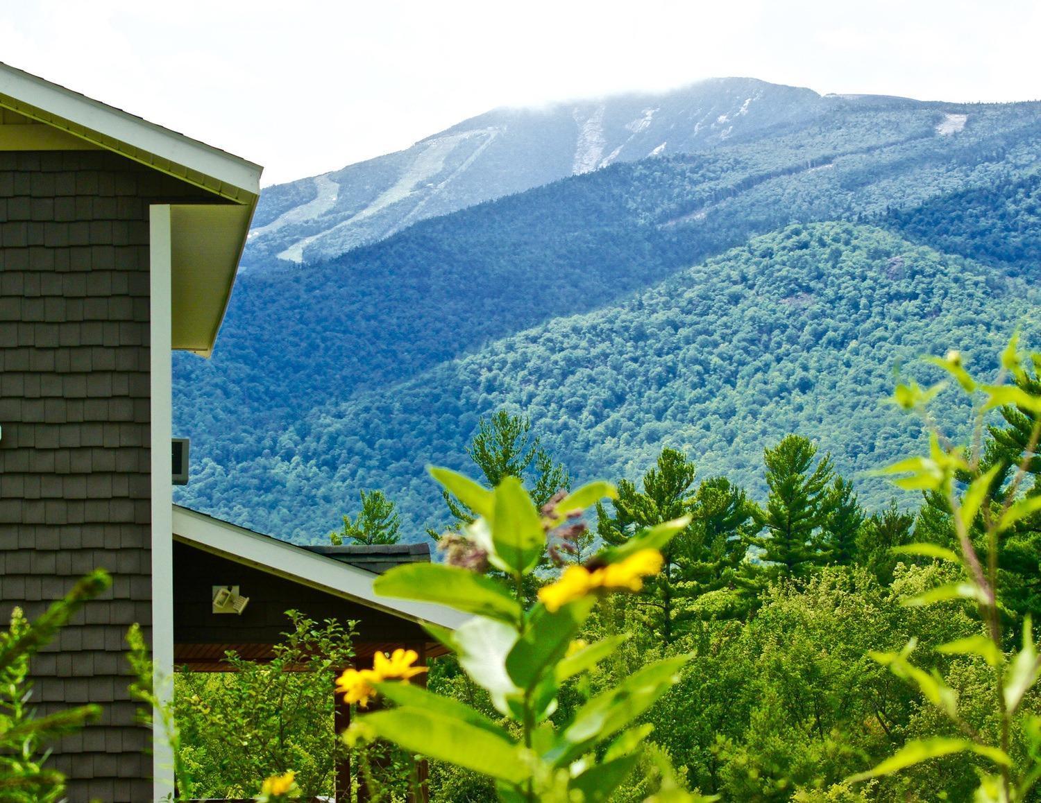 Lookout Mountain Chalet Villa Wilmington Esterno foto